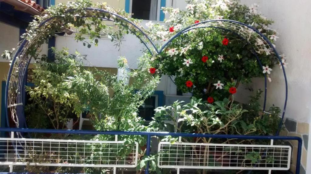 Apollonia Apartments Agia Pelagia  Exterior foto